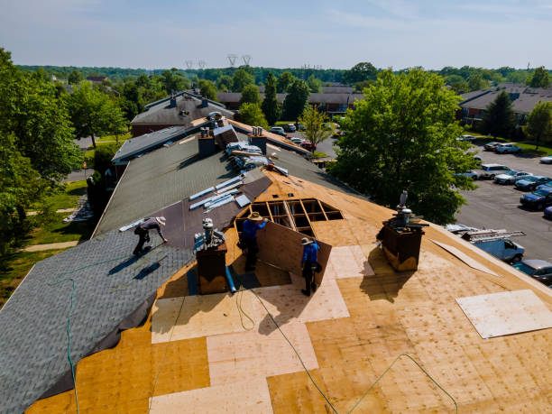 Trusted Roof Replacement service in Elmira, OR - Brentwood Metal Roofing